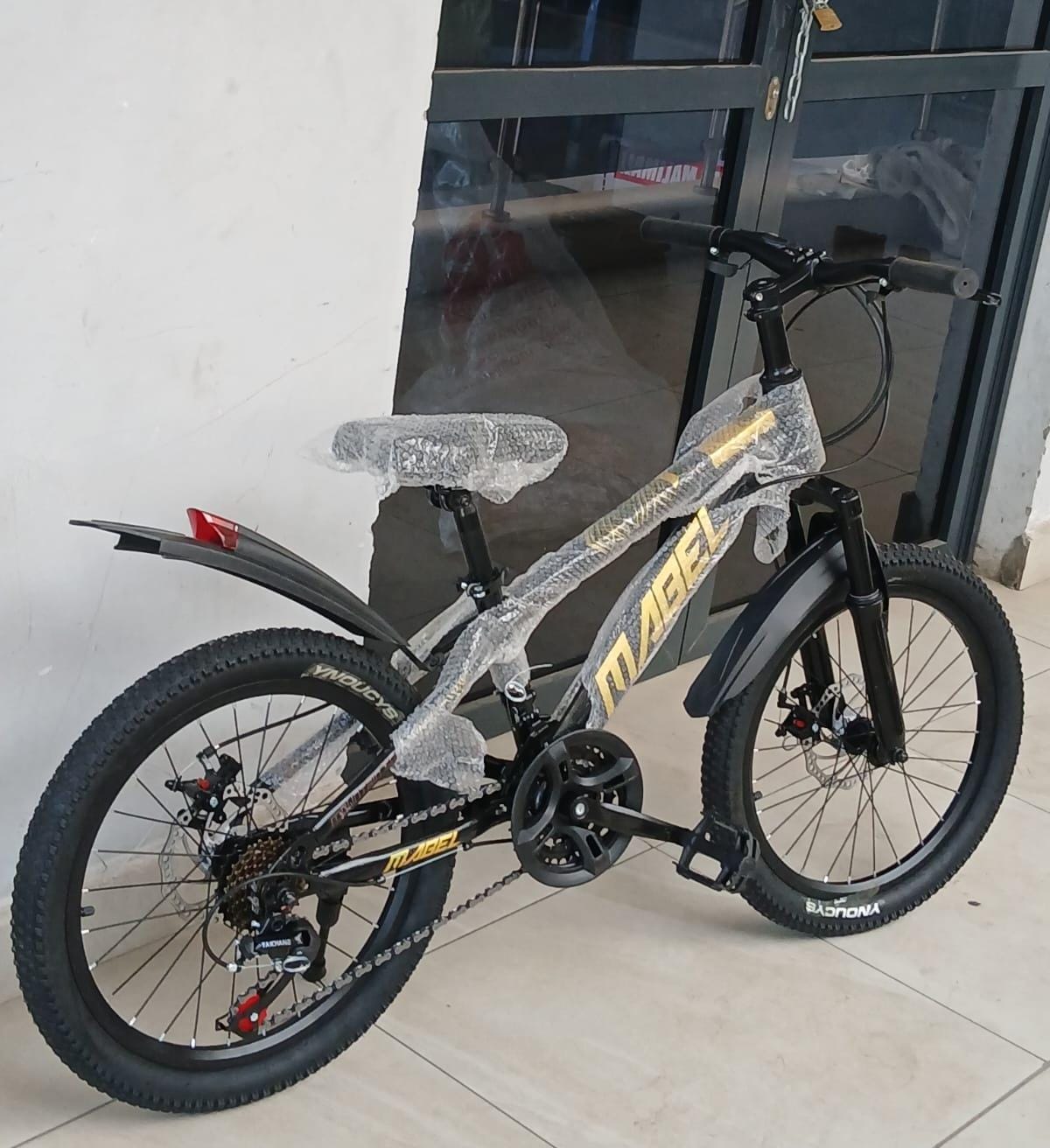 20 inch mountain bike with 21-speed gears, dual disc brakes and front suspension